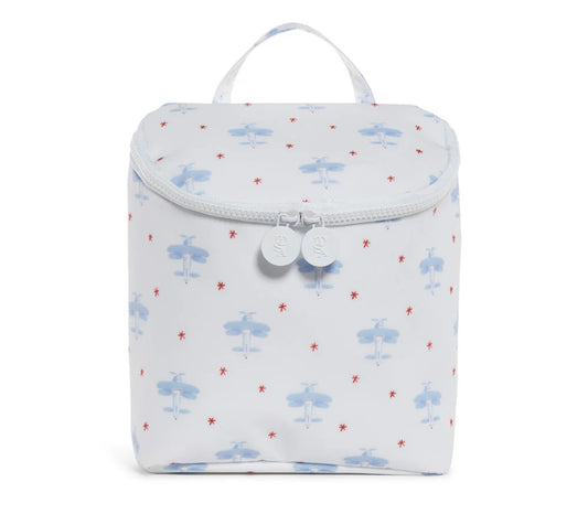 Take Away Insulated Lunch Bag - David’s Airplane